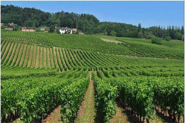 土壤肥料速測儀